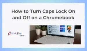 Read more about the article How to Turn Caps Lock On and Off on a Chromebook