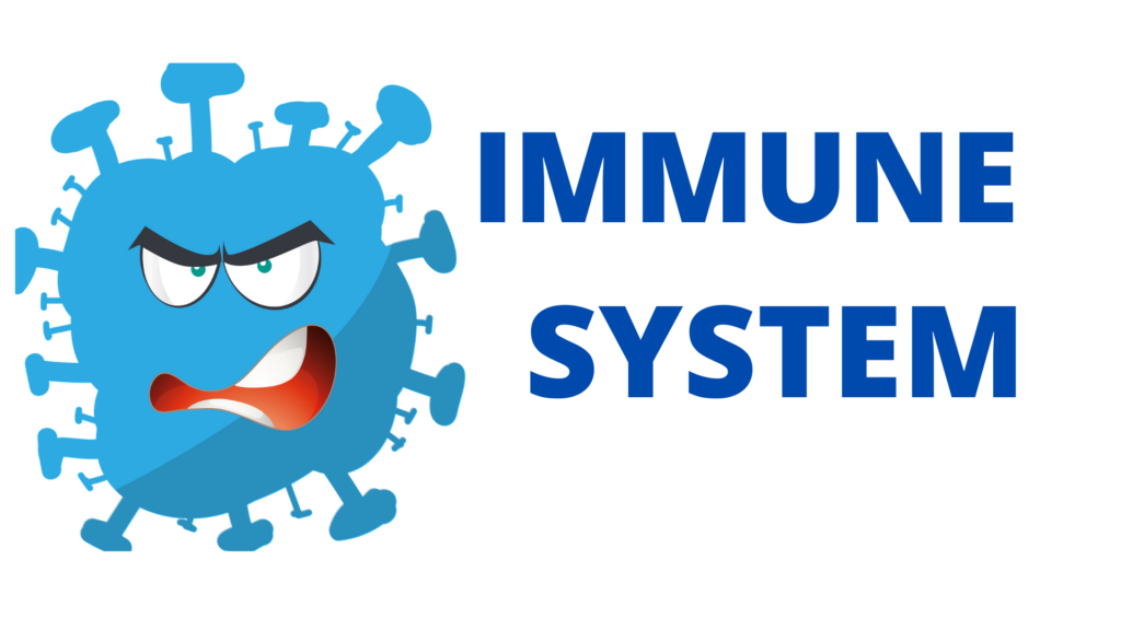 Read more about the article Immune System : Parts, Immunity, White Blood Cells